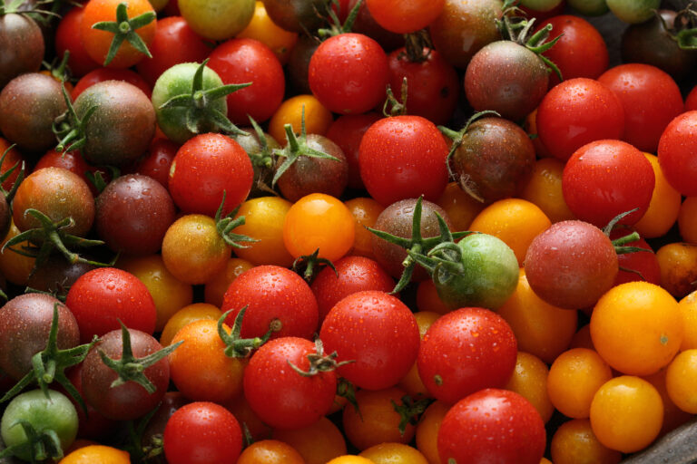 Colorful tomatoes background, food pattern