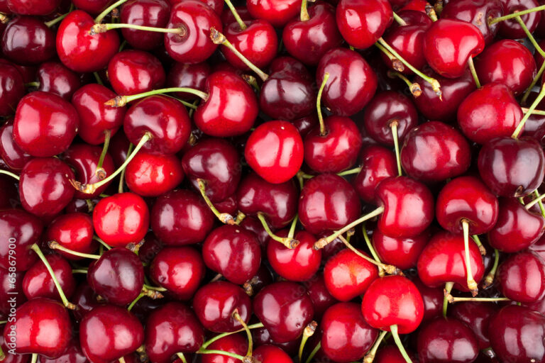 AdobeStock_65867900_Preview